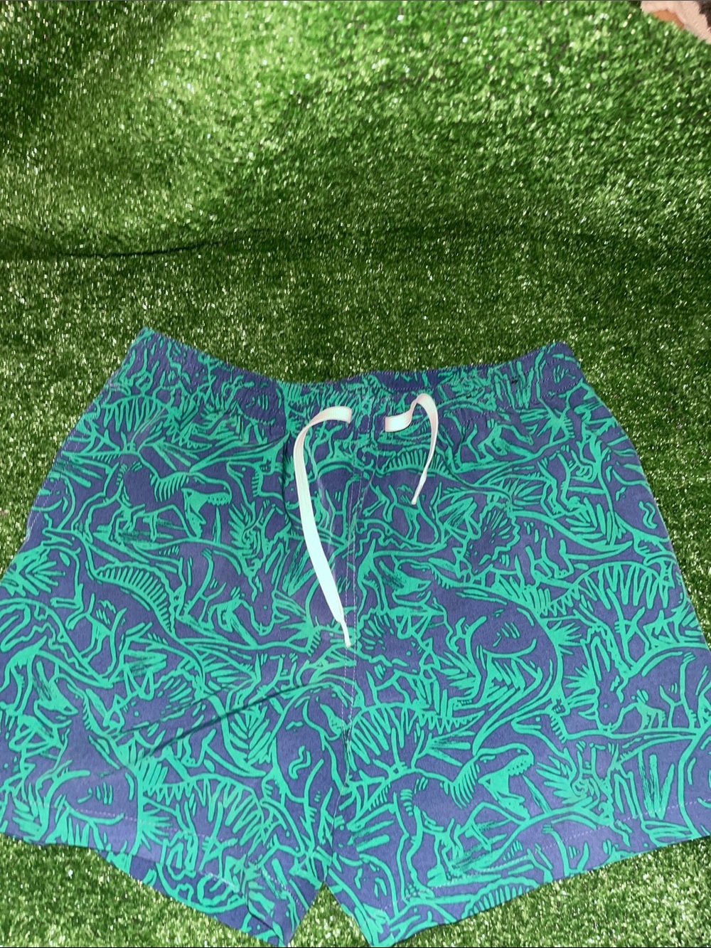 Chubbies Swim Trunks